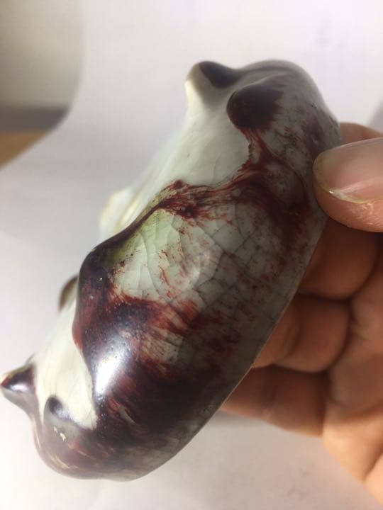 「菊池春陽」盆栽鉢