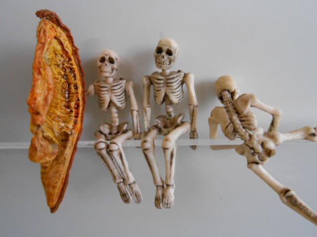 ♯Jzi12AHコップのフチボーン人気5種