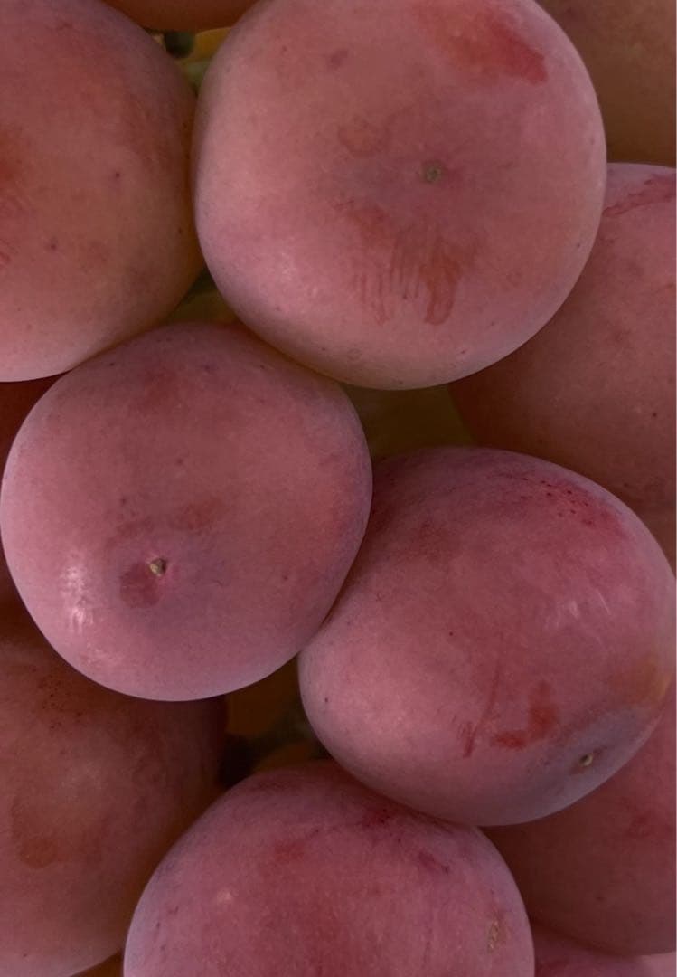 うさこさん専用3日発送