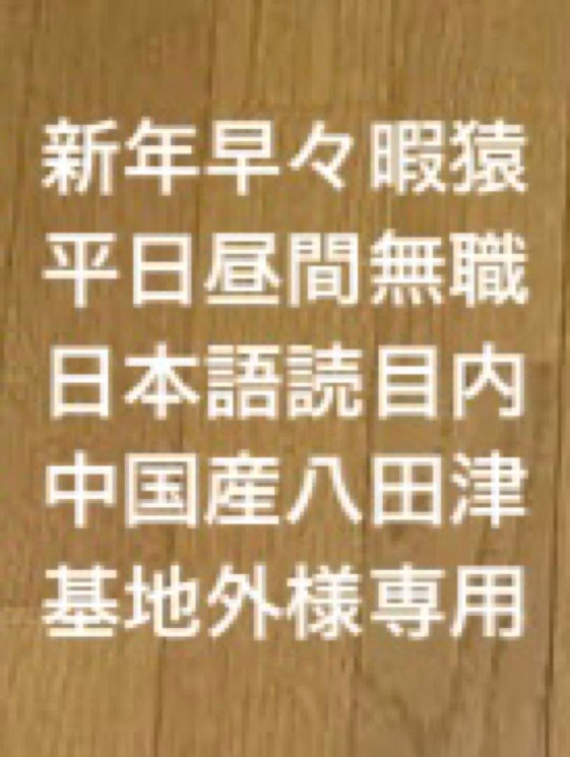 TOMIX マイプラン DX II (F) 90946 Nゲージ