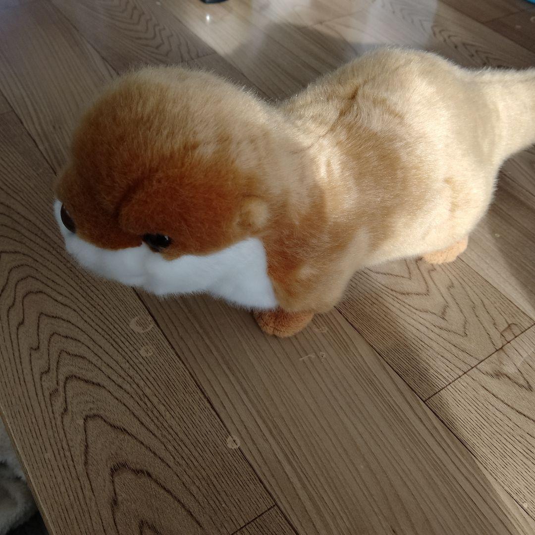 オットセイ ぬいぐるみ 中型