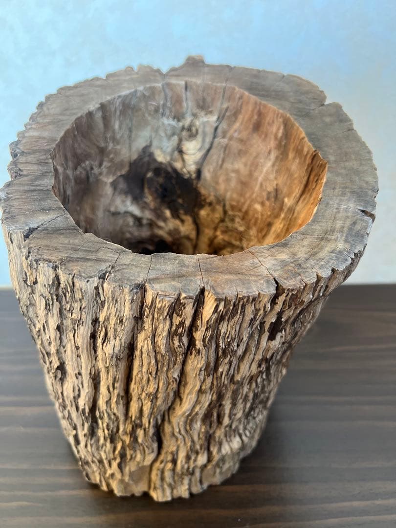 HX-008 流木　空洞　爬虫類　アクアリウム　アクアテラリウム　即沈水