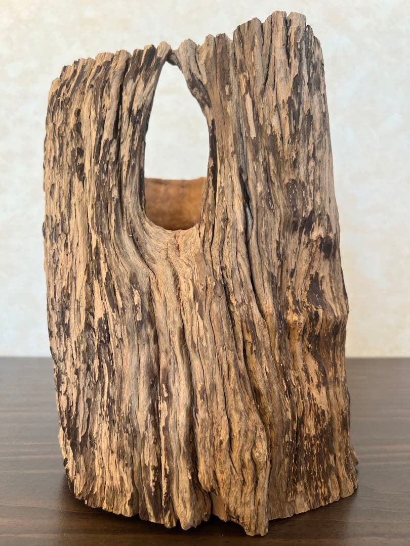 HX-008 流木　空洞　爬虫類　アクアリウム　アクアテラリウム　即沈水