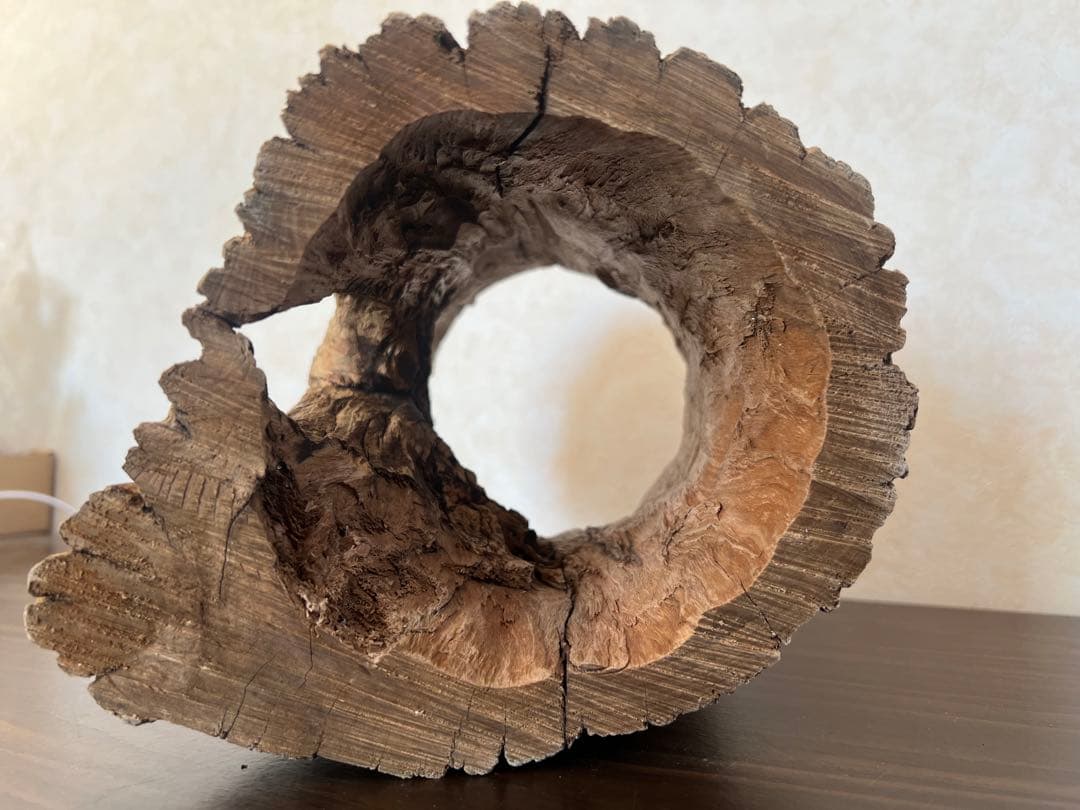 HX-008 流木　空洞　爬虫類　アクアリウム　アクアテラリウム　即沈水