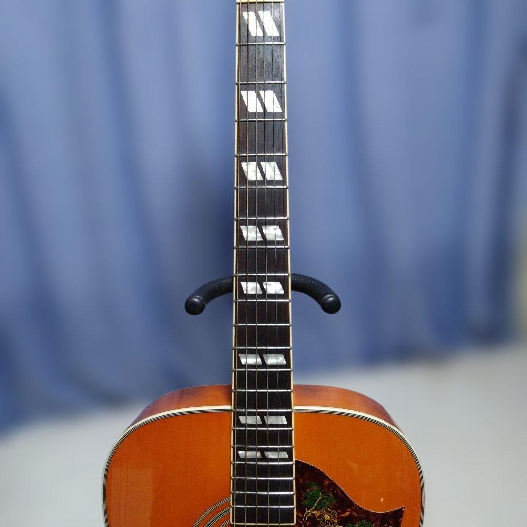 ビ*イ様 Epiphone DOVE PRO エレアコ