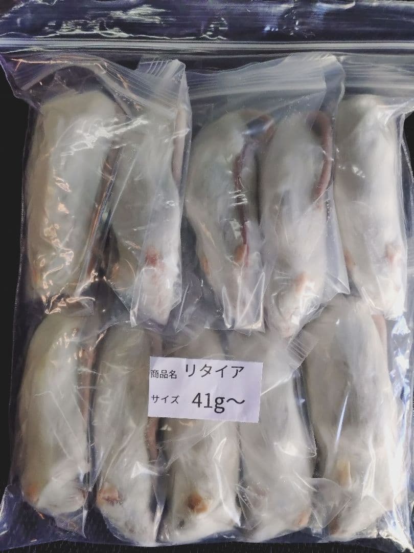 送料無料　冷凍マウスリタイア20匹　ピンクM30匹