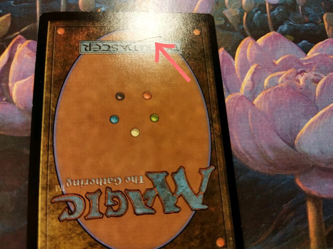 MTG  ザルファーの虚空