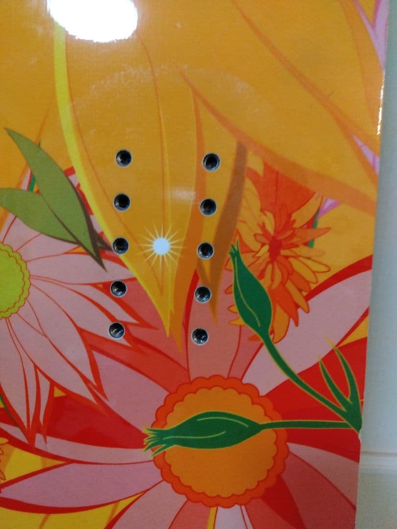 アルペンスノーボード