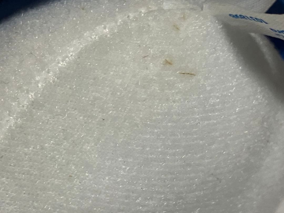 初音ミク オリジナルぬいぐるみ「初音ミクフィギュア展 横浜人形の家ぬいぐるみ」