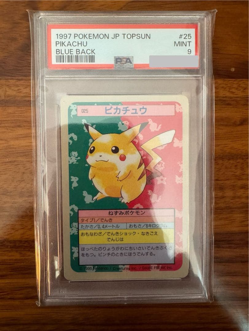 ポケモンカード トップサン ピカチュウ 裏青