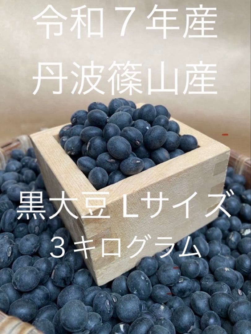 令和７年産　丹波篠山産黒大豆（丹波黒）Ｌサイズ　３ｋｇ
