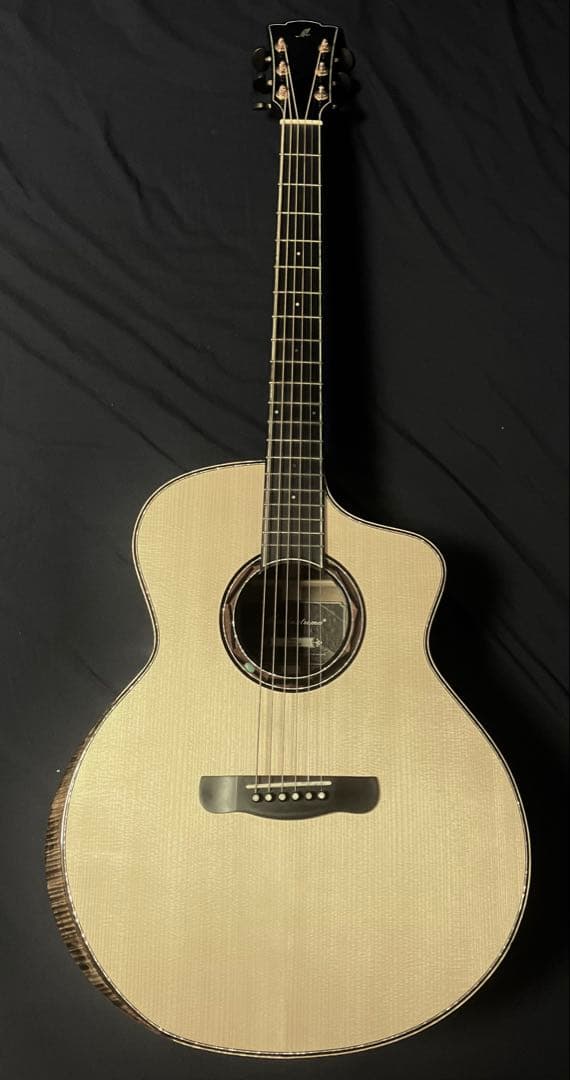 ギター Merida / WAVE