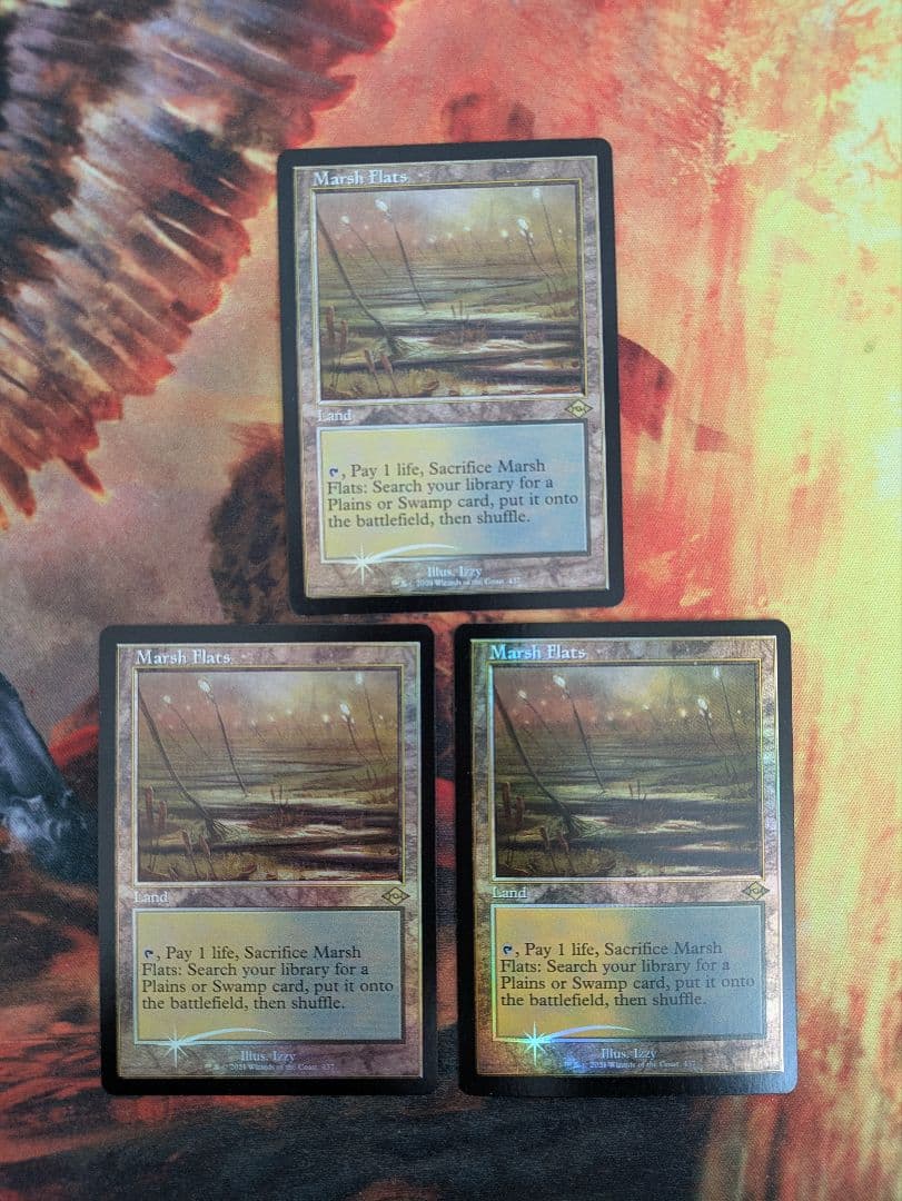 湿地の干潟　foil 3枚