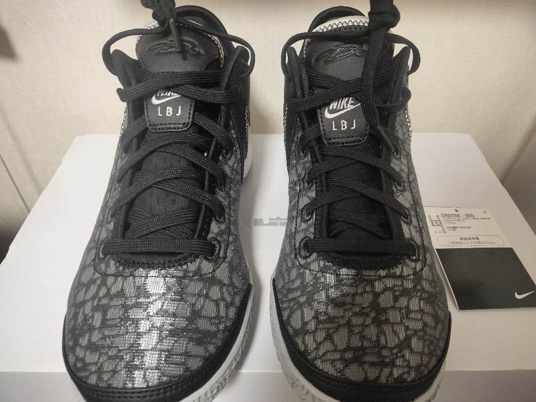 Nike 25.5cm レブロン NXXT Gen EP DR8788-005