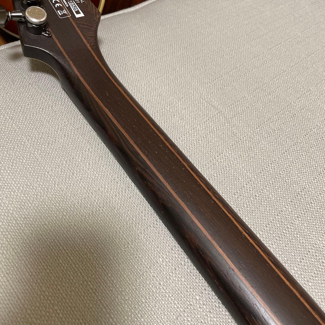 アイバニーズ S61 AL Axion Label