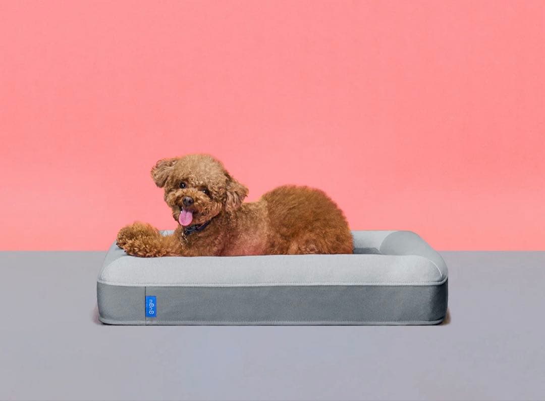 gugu ドギー 犬用ベッド　Sサイズ 小型犬　グレー