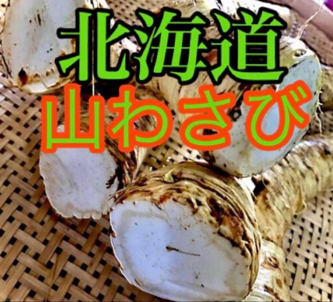 北海道産 山わさび 5kg