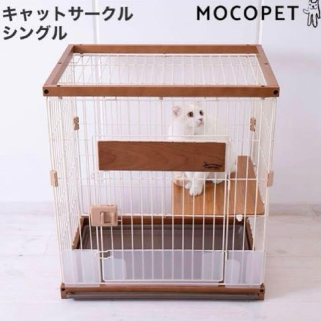 y キャットサークルシングル