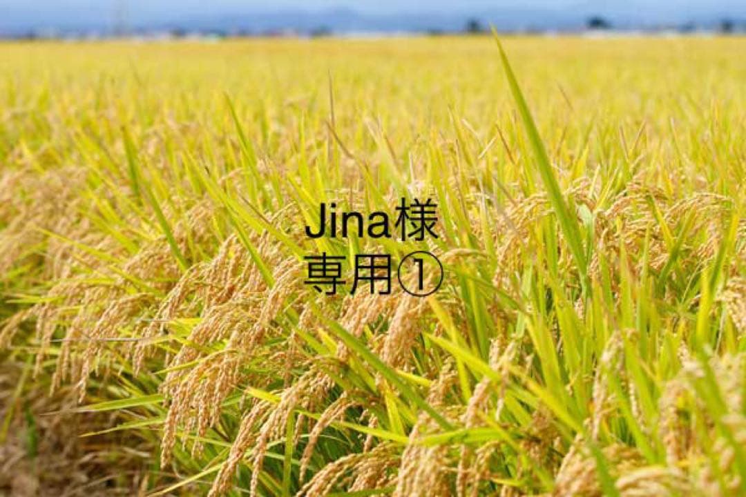 Jina①