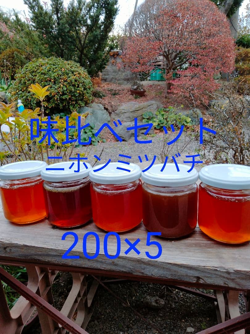 日本蜜蜂　百花蜜　200g×5　天然非加熱　　　ハチミツ　5種の味比べセット 2
