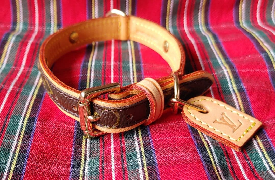 ルイヴィトン★カラー&リード★美品