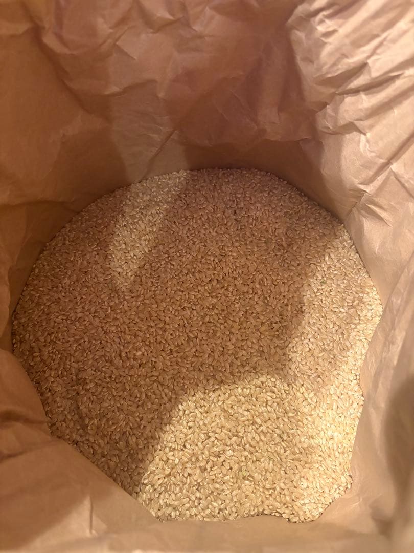 石川米　ゆめみずほ　玄米15kg 新米令和7年産