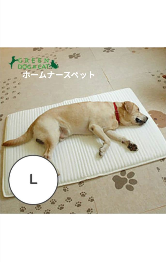 ホームナース pet 床ずれ予防マット Lサイズ