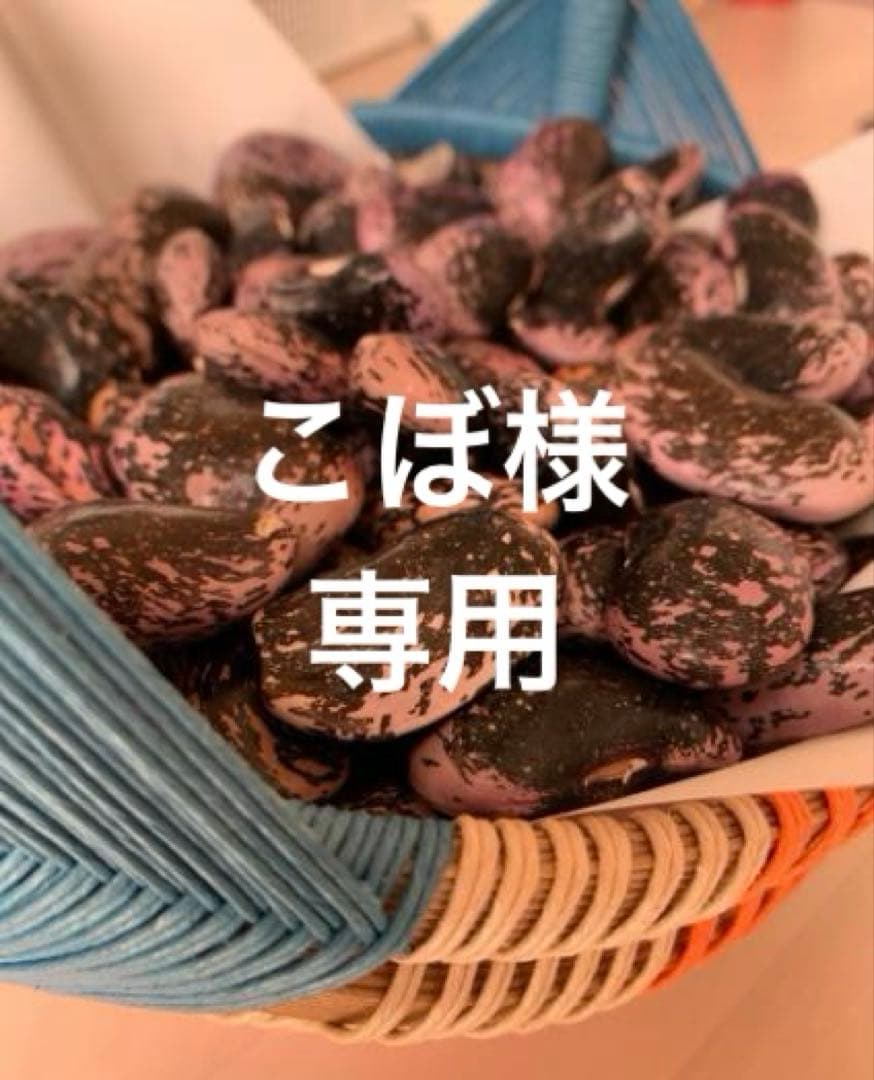 高原紫花豆 2kg 2025年産 長野県八ヶ岳麓産　自家製