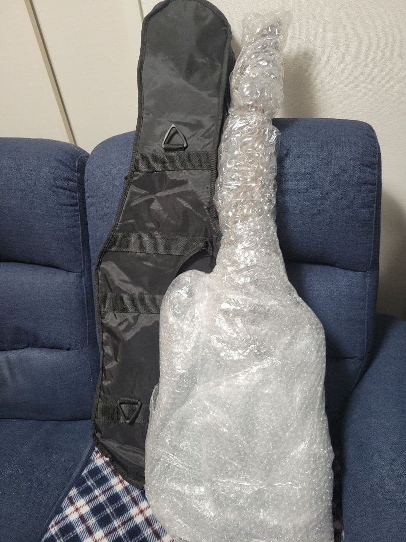 アイバニーズ　Ibanez RG421PB　動作品　おまけ盛り沢山