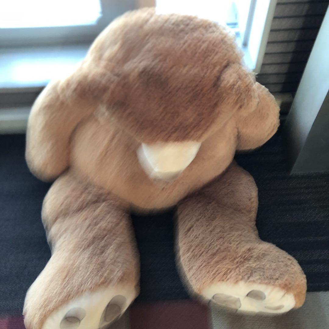 クマぬいぐるみ