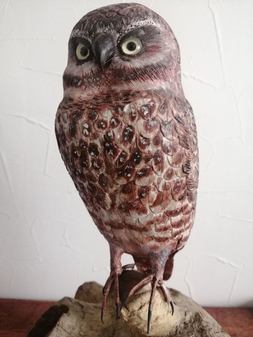 木製 アナホリフクロウ 梟 野鳥彫刻 バードカービング 木彫 野鳥