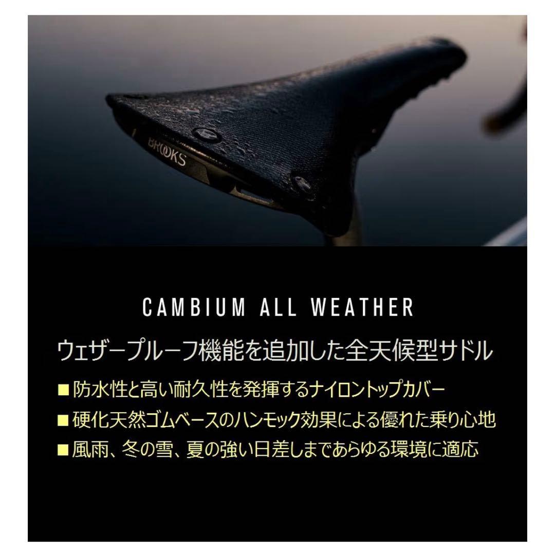 BROOKS カンビウム ALL WEATHER C19 CARVED日本正規品