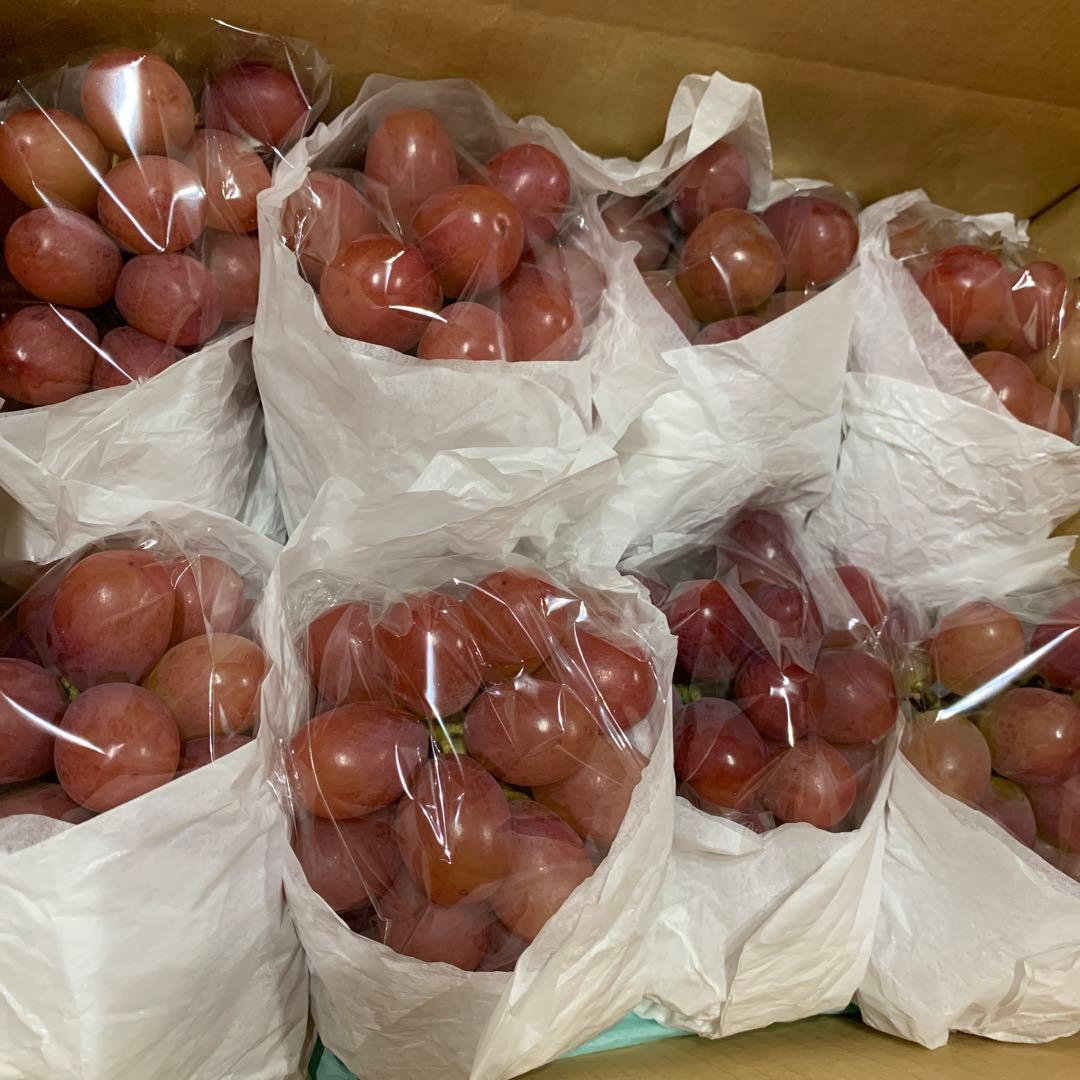 ②クイーンルージュ®︎（3.5キロ以上）