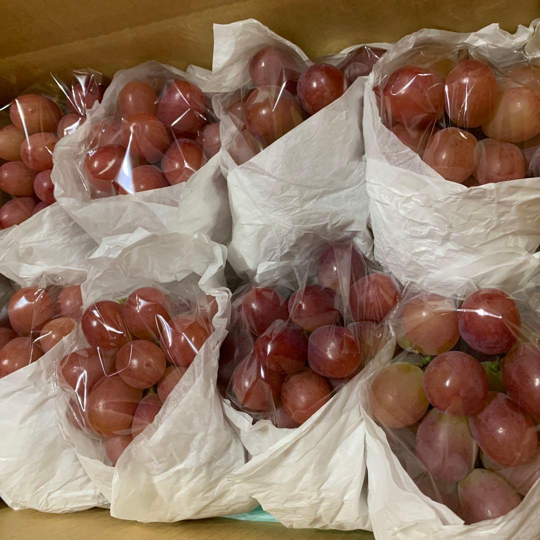 ②クイーンルージュ®︎（3.5キロ以上）