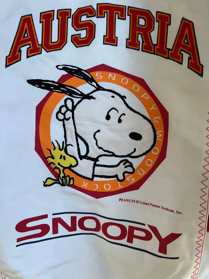 【希少】SNOOPYスキーウェア アシックスオーストリアスキーチームモデル