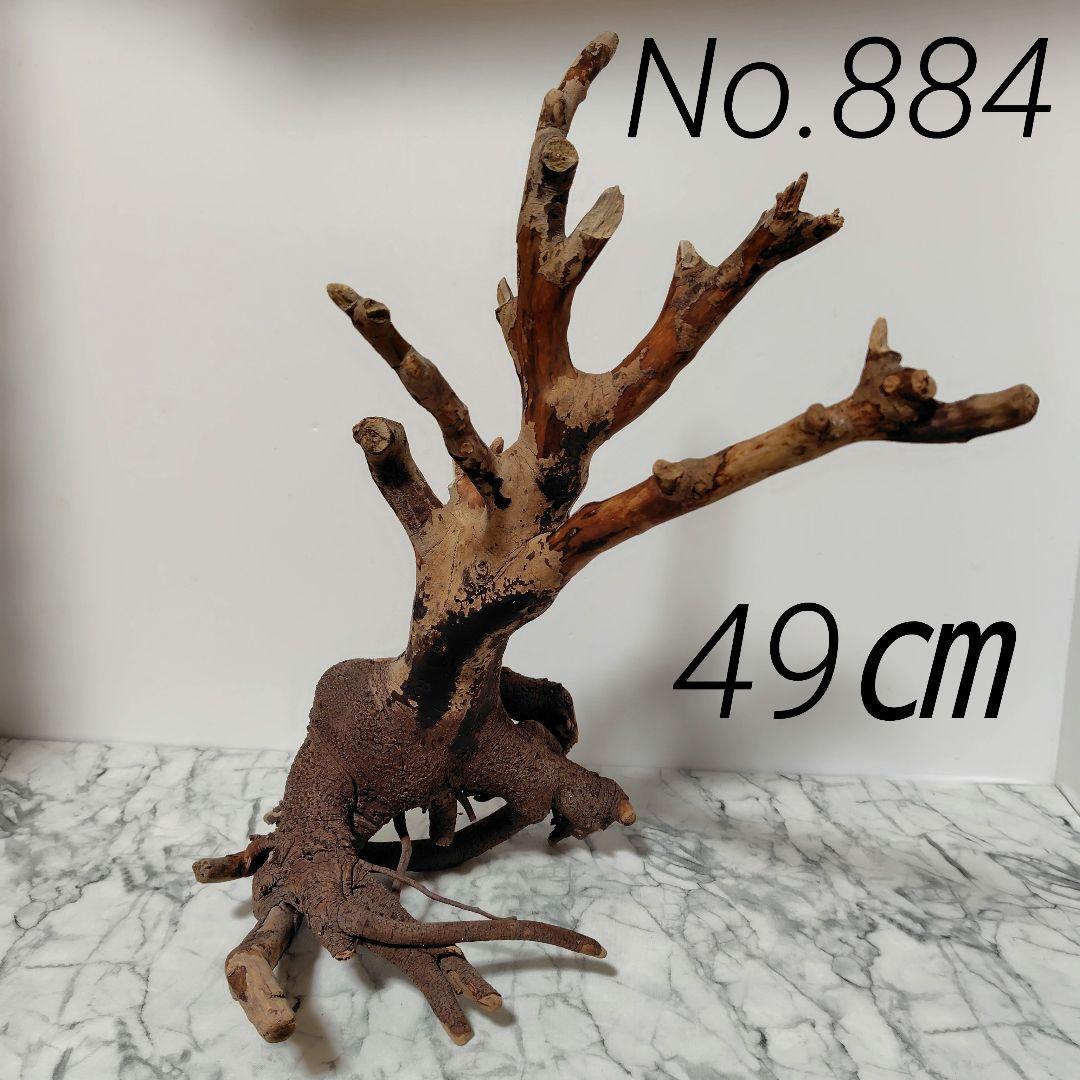 アク抜き済み流木【884】セール