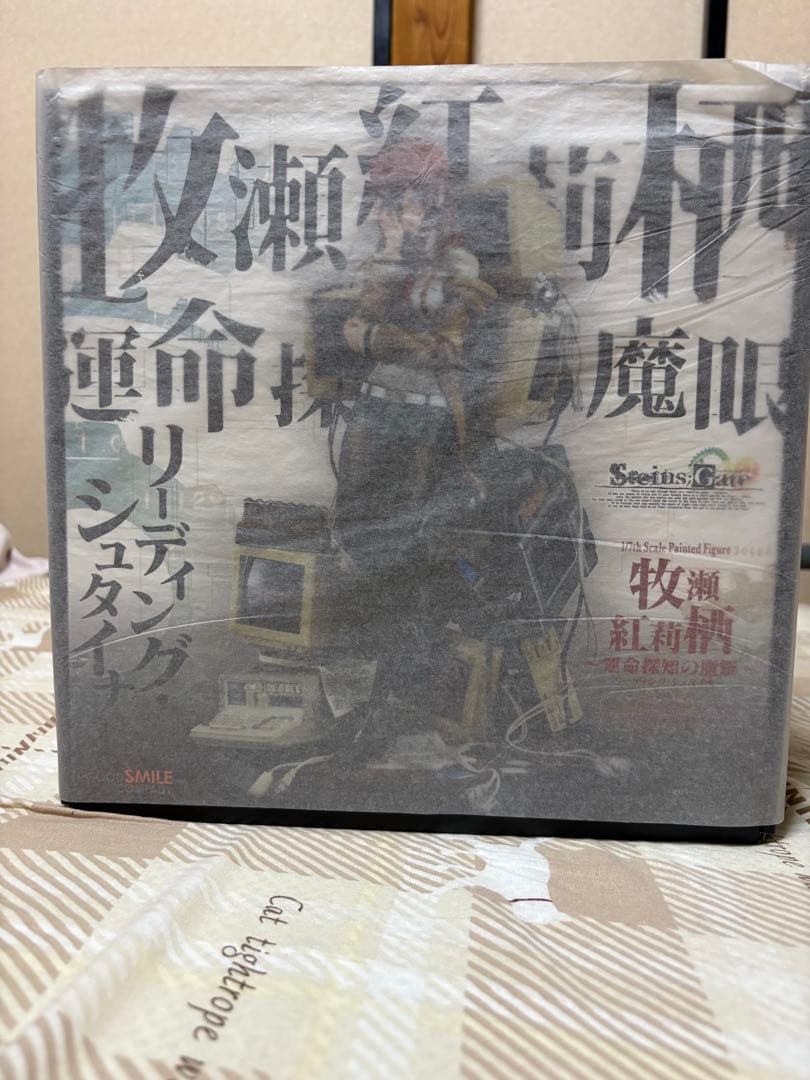 STEINS；GATE 牧瀬紅莉栖 ~運命探知の魔眼（リーディング・シュタイナー