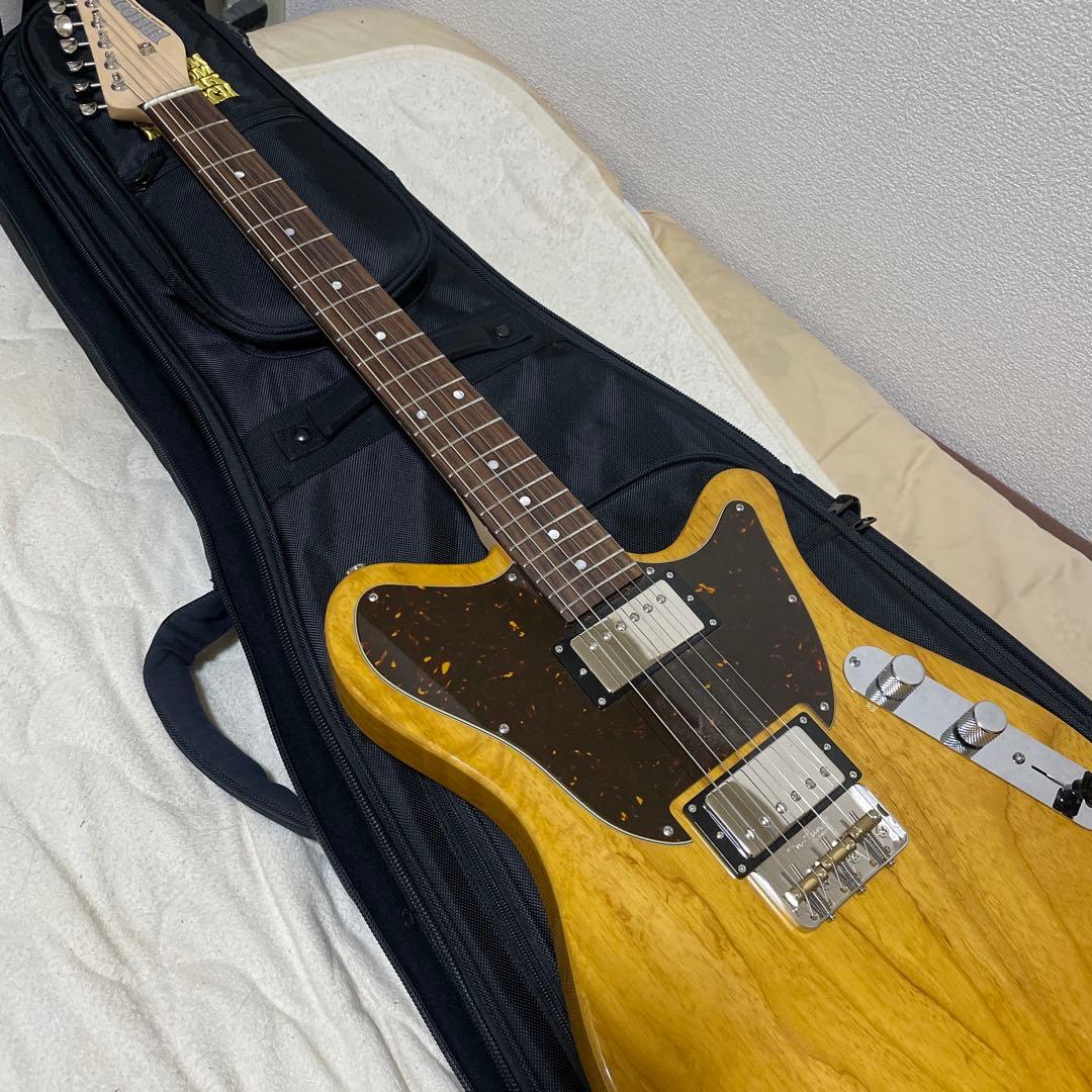 ギター FREEDOM CUSTOM GUITAR RESEARCH Shaker