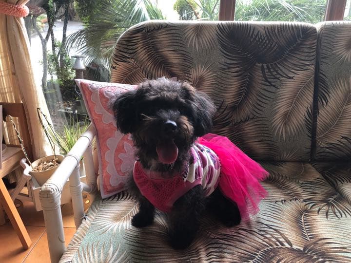 小夏確認用写真