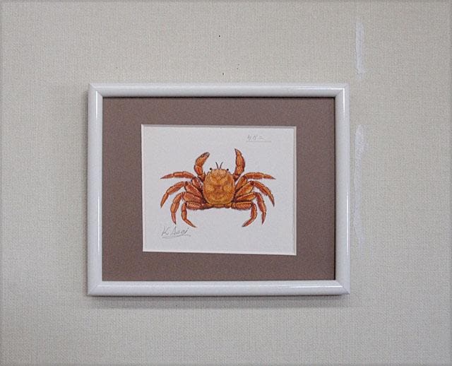 生物細密画（水彩）「ケガニ」