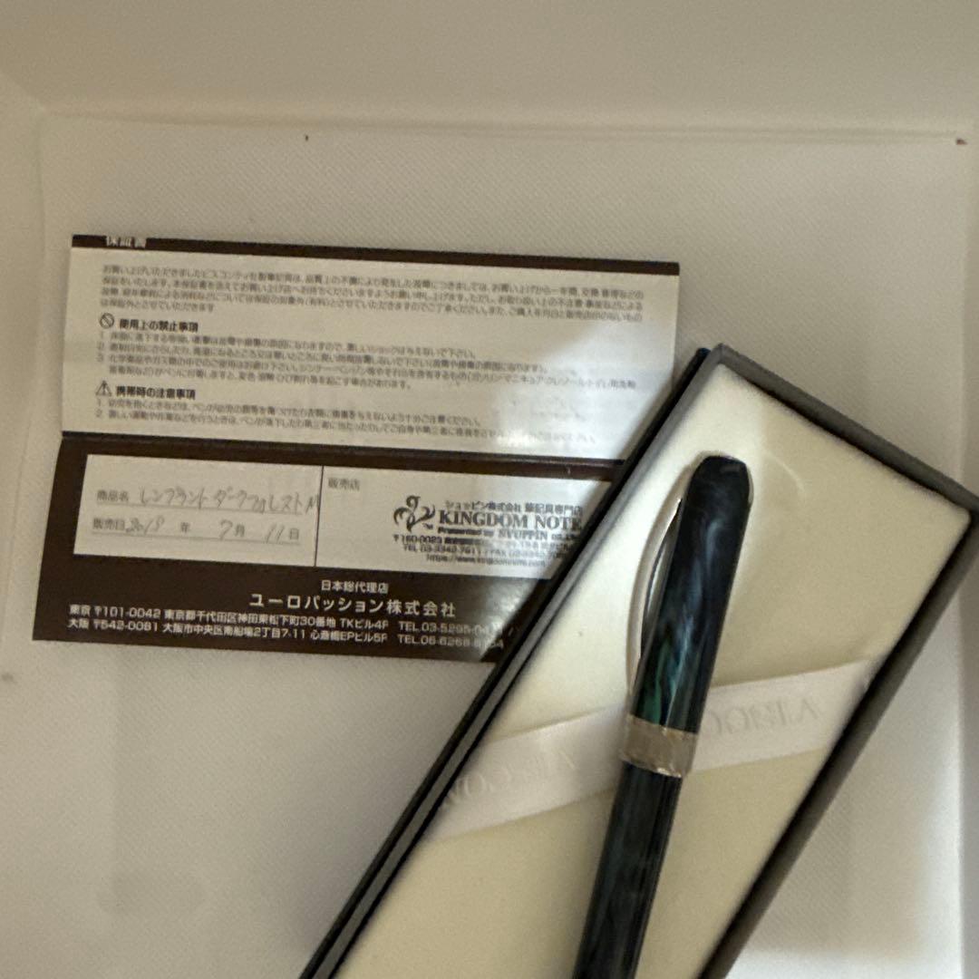 新春セール更に値引きVISCONTI万年筆 レンブランドダークフォレスト