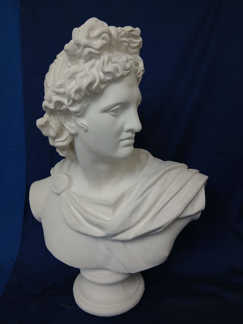 アポロ胸像。81cm