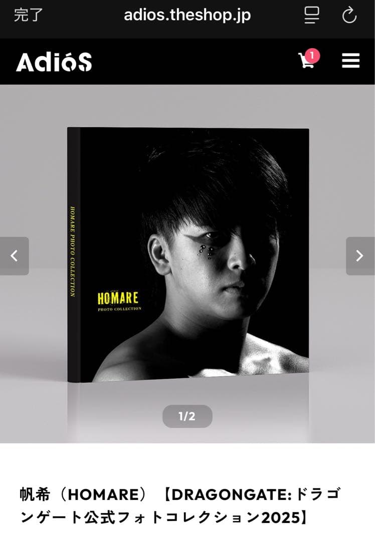 ドラゴンゲート 帆希選手 フォトブック