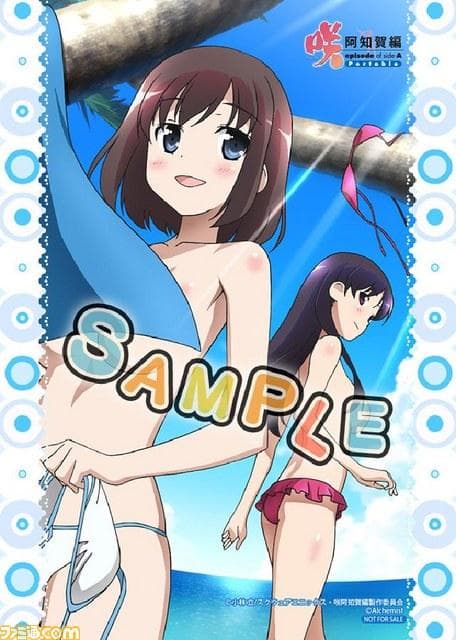 咲 Saki 阿知賀編 PSPソフト アニメイト 特典 ブロマイド