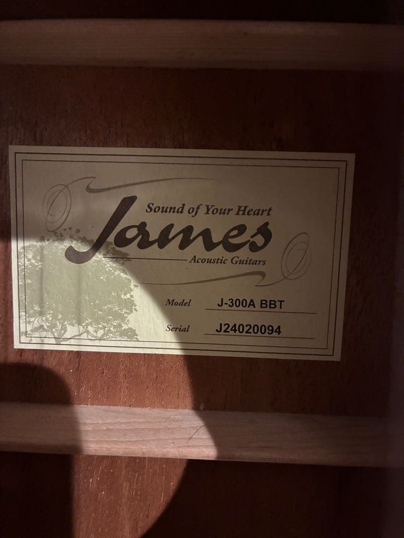 【超美品】 James J-300A トップ単板