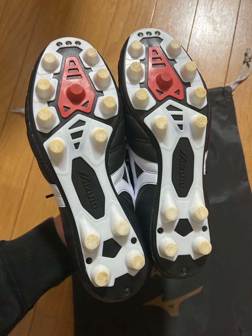 モレリア2 クロスステッチ　25.5cm