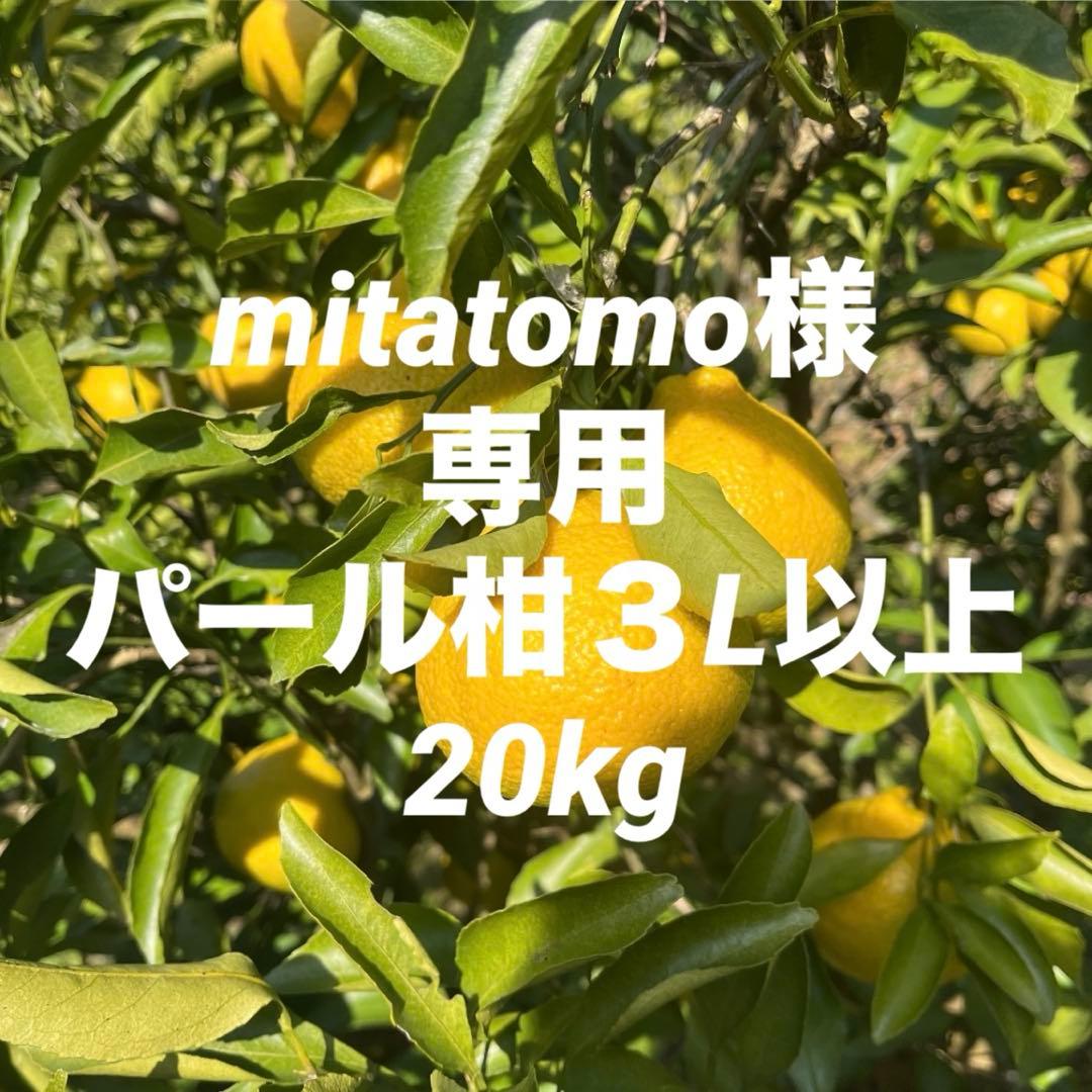 mitatomoパール柑３L以上20kg