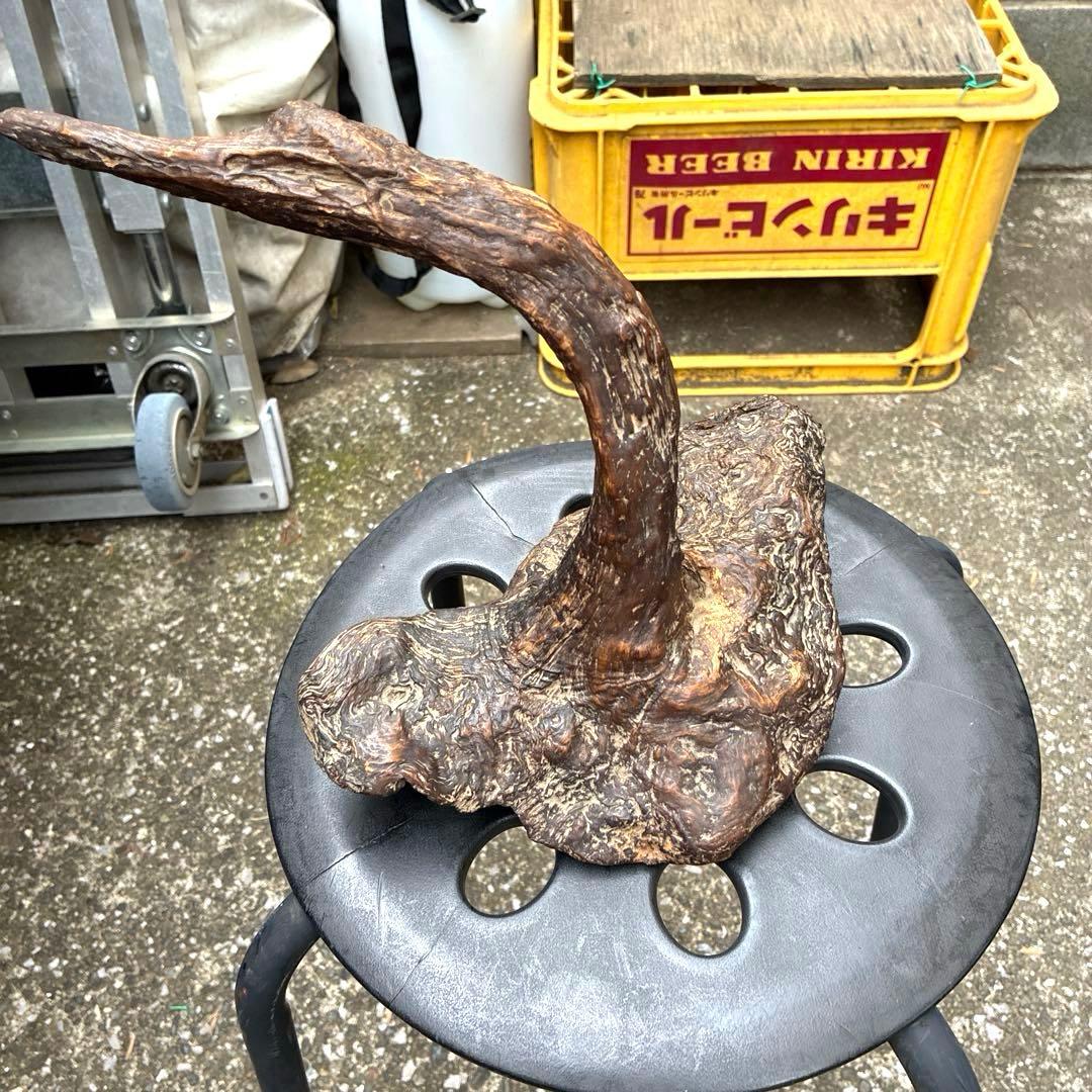 縁起物 ビンテージ木製置物 自然