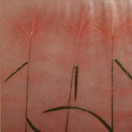 徳岡 神泉、薄、大判、額装用・画版、日本製・新品額 額装付、状態良好