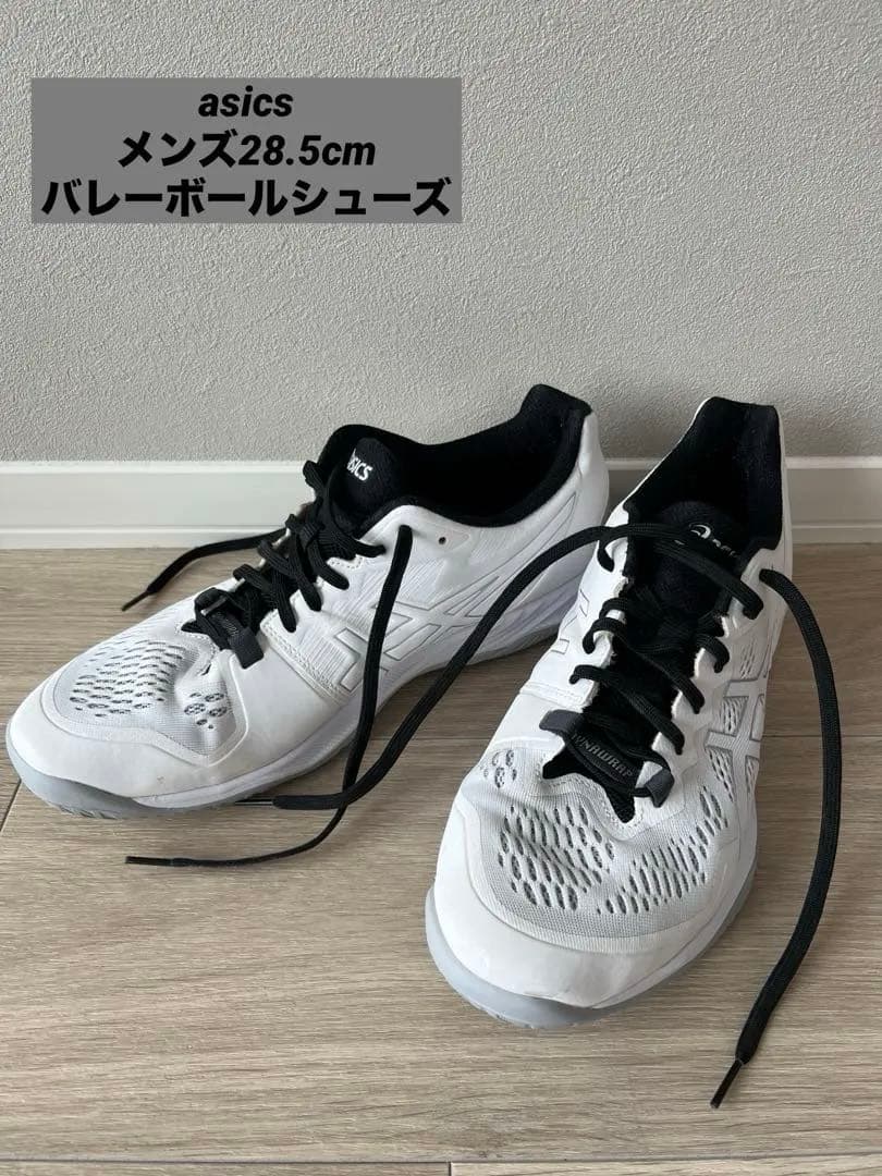 asics バレーボールシューズ 28.5cm（大きめ）
